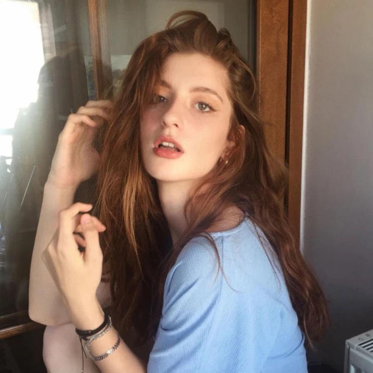 transfertop@Dashiell